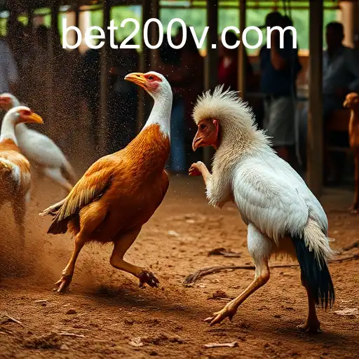 Jogos de sabong